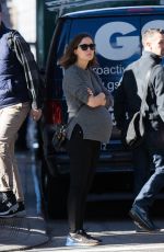 Pregnant ROSE BYRNE Out and About in New York 12/15/2015