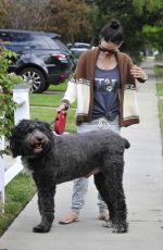 RACHEL BILSON Walks Her Dog Out in Los Angeles 11/30/2015