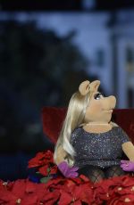 REESE WITHERSPOON at Obamas Light the National Christmas Tree in Washington 12/03/2015