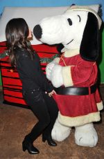 RYAN NEWMAN at Knott
