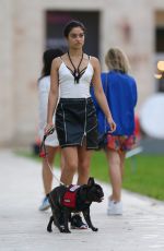 SHANINA SHAIK Walks Her Dog Out in Miami 12/04/2015