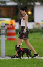 SHANINA SHAIK Walks Her Dog Out in Miami 12/04/2015