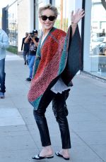 SHARON STONE Out Shopping Rugs in Beverly Hills 12/04/2015