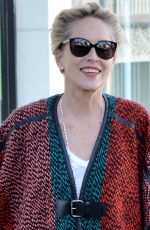 SHARON STONE Out Shopping Rugs in Beverly Hills 12/04/2015