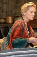 SHARON STONE Out Shopping Rugs in Beverly Hills 12/04/2015