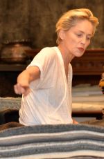 SHARON STONE Out Shopping Rugs in Beverly Hills 12/04/2015