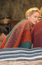 SHARON STONE Out Shopping Rugs in Beverly Hills 12/04/2015