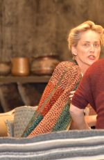 SHARON STONE Out Shopping Rugs in Beverly Hills 12/04/2015