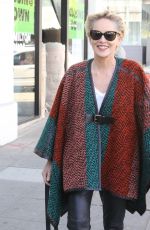 SHARON STONE Out Shopping Rugs in Beverly Hills 12/04/2015