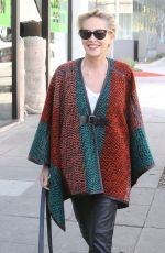 SHARON STONE Out Shopping Rugs in Beverly Hills 12/04/2015