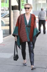 SHARON STONE Out Shopping Rugs in Beverly Hills 12/04/2015