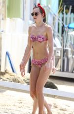 SUKI WATERHOUSE in Bikini at a Beach in Barbados 12/28/2015