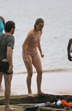 TAYLOR SCHILLING in Bikini at a Beach in Hawaii 12/28/2015