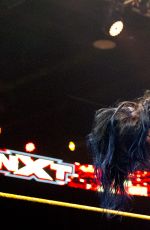 WWE - NXT Digital 12/02/2015