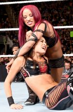 WWE - Raw Digitals 11/30/2015