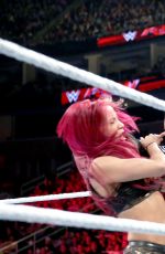 WWE - Raw Digitals 11/30/2015