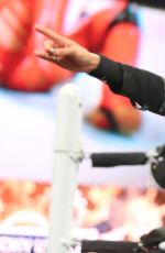 WWE - Raw Digitals 11/30/2015