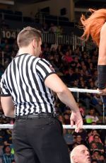 WWE - Raw Digitals 11/30/2015