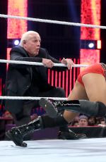 WWE - Raw Digitals 11/30/2015