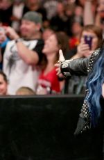 WWE - Raw Digitals 11/30/2015