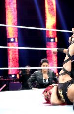 WWE - Raw Digitals 11/30/2015