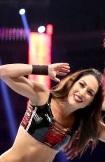 WWE - Raw Digitals 11/30/2015