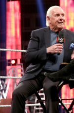 WWE - Raw Digitals 12/07/2015