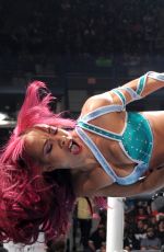 WWE - Raw Digitals 12/07/2015
