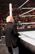 WWE - Raw Digitals 12/14/2015