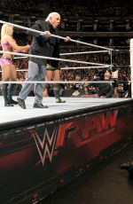 WWE - Raw Digitals 12/14/2015