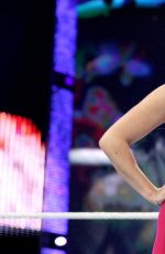 WWE - Raw Digitals 12/14/2015