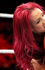 WWE - TLC Digitals 2015