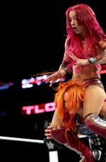 WWE - TLC Digitals 2015