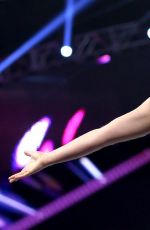 WWE - TLC Digitals 2015