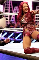 WWE - TLC Digitals 2015
