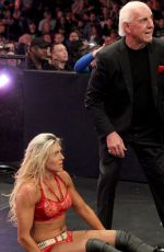 WWE - TLC Digitals 2015