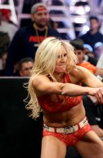 WWE - TLC Digitals 2015