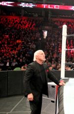 WWE - TLC Digitals 2015