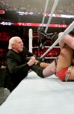 WWE - TLC Digitals 2015