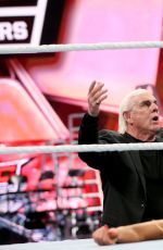 WWE - TLC Digitals 2015