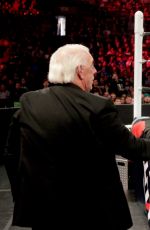 WWE - TLC Digitals 2015