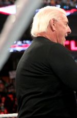 WWE - TLC Digitals 2015
