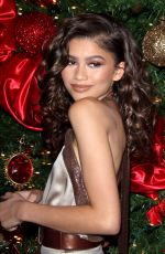 ZENDAYA COLEMAN at 2015 Ebony Power 100 Gala in Beverly Hills 12/02/2015