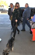 /DAKOTA JOHNSON Arrives at LAX Airport in Los Angeles 01/07/2016