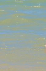 ALESSANDRA AMBROSIO in Bikini at a Beach in Brazil, January 2016