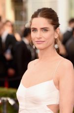 AMANDA PEET at Screen Actors Guild Awards 2016 in Los Angeles 01/30/2016