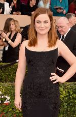 AMY POEHLER at Screen Actors Guild Awards 2016 in Los Angeles 01/30/2016