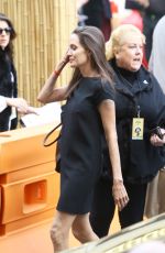 ANGELINA JOLIE Arrives at Kung Fu Panda 3 Premiere in Hollywood 01/16/2016