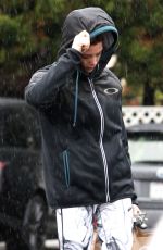 ASHLEY GREENE Out Shopping at Bristol Farms 01/005/2016