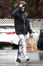 ASHLEY GREENE Out Shopping at Bristol Farms 01/005/2016